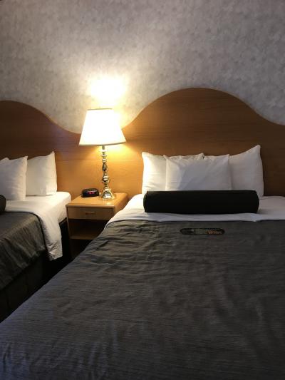 ベットは広いです