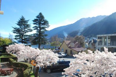 ２階バルコニーからワカティブ湖と満開の桜。