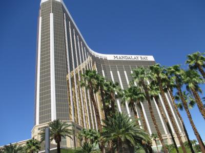 プールからの眺め