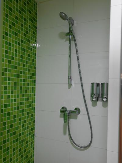 シャワーのみだが、使いやすいバスルーム。