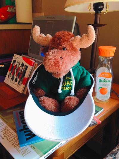 娘のキャップ可愛くセッティングしてありました