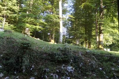 お部屋の窓から