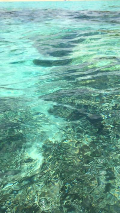 グアムのシュノーケルは毎回ココです