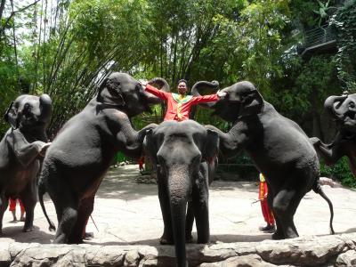 サファリ子連れにおすすめです♪