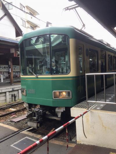 見ても乗ってもワクワクする電車