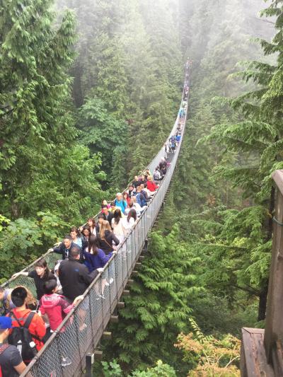 思いのほか楽しめました