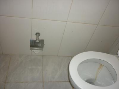 妙に下の方に設置されているトイレットペーパー