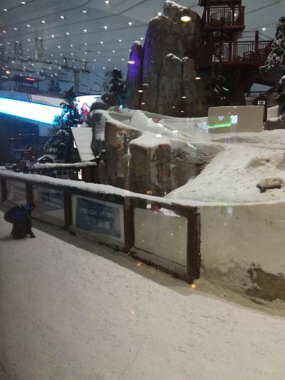 ドバイモールより小さいので小回りが利きます