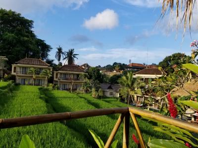 テラスからの景色