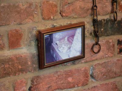 飼い猫の写真が飾られたパブ
