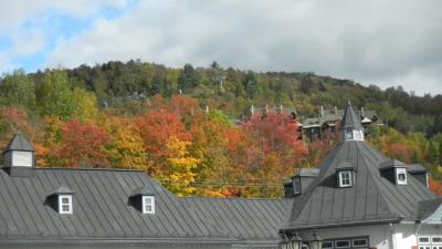 紅葉には少し早かった