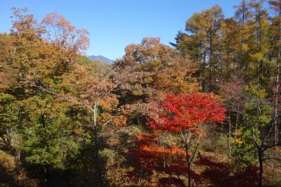 小さいお子さんいる人も安心