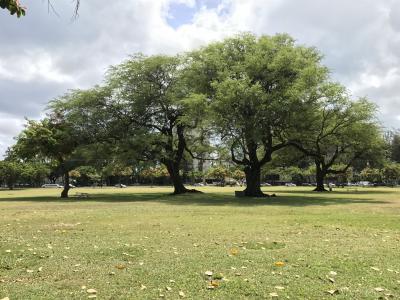 ワイキキの公園