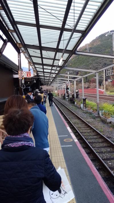 紅葉の嵯峨野トロッコ列車に乗ってきました。