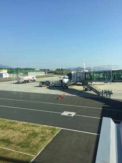 シンプルな空港です