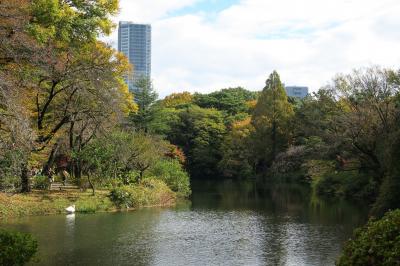 年に２度だけオープンのすばらしい森