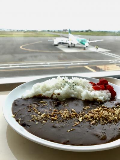 飛行機を見ながら札幌黄玉ねぎを使ったカレーが食べられる食堂