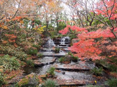 気持ちよい庭園