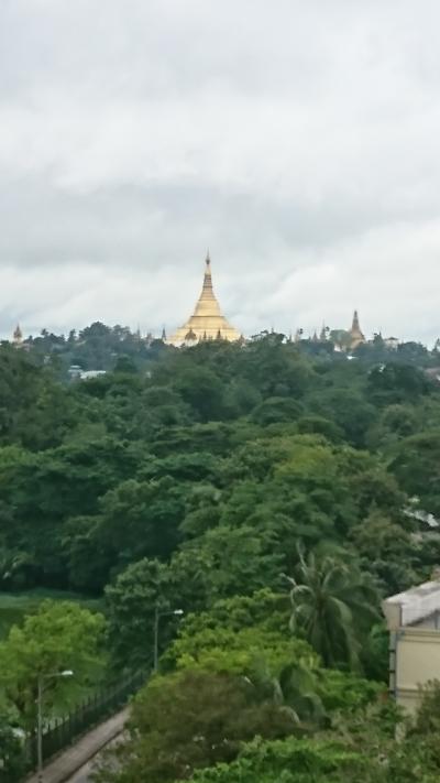 部屋からのパゴタ