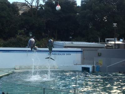 ドクターフィッシュがくすぐったい