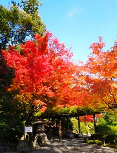 季節ごとに訪れたい花の庭