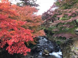 綺麗でした＾＾