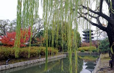 京都の紅葉は、「東寺へ行こう」