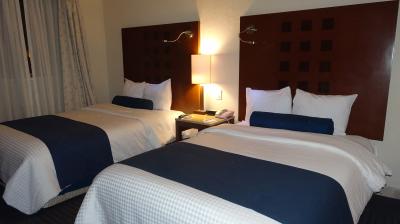 大き目のベットがどっかりと置かれている