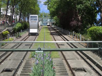 カルネが使用できます。