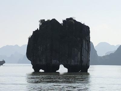 美味しい海鮮料理が楽しめました。