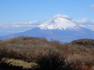 箱根で富士山を見るならここが一番