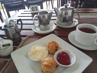 スコーンにつけるクリームとジャムもとても美味しい