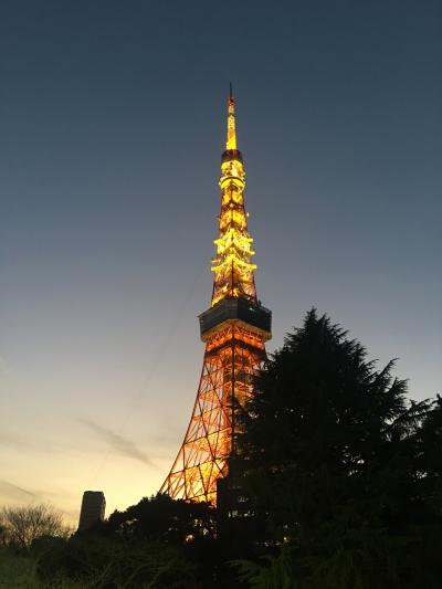 東京タワーを眺めるガーデンラウンジ