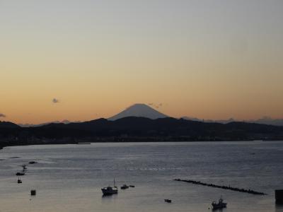 破崎緑地の展望台