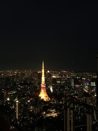 夜景が綺麗