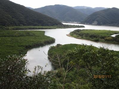 マングローブ原生林にてカヌー体験