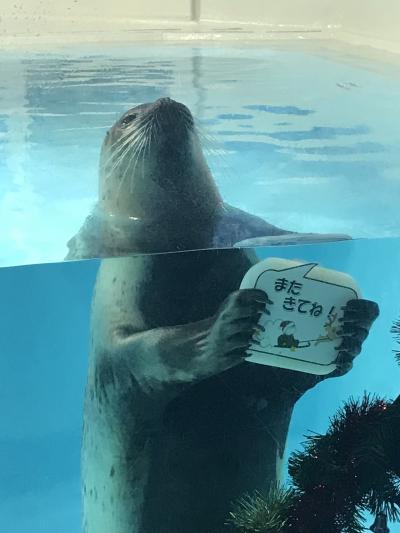 海の生き物により親しめる水族館！