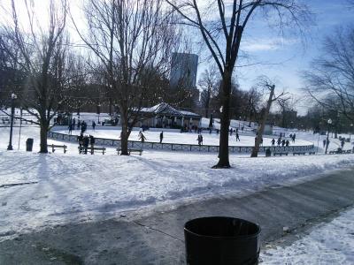 ボストン中心部の公園