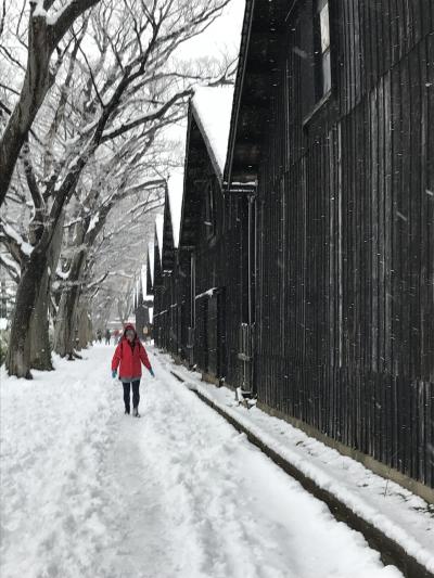 酒田の観光名所