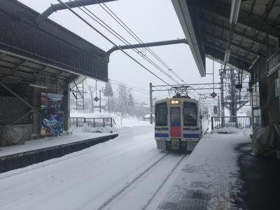 大雪で気付いたら間引きされてた笑