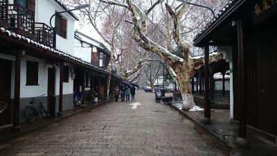 府山公園周辺は見どころがあります