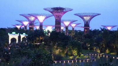 夜も楽しめる植物園