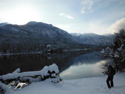 ボーヒン湖からフォーゲルスキー場を望む