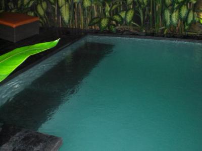 入口を入るとプールがあります。欧米の女性が利用していました。