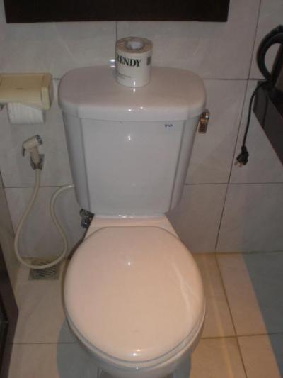 トイレは、清掃が行き届いていて、きれいです。感じが良いです