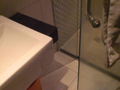 バスルーム入口です。ドアーを引くと狭く、押せばよかったのです