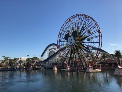 めちゃめちゃ揺れる観覧車