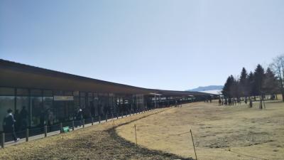 大きなアウトレット