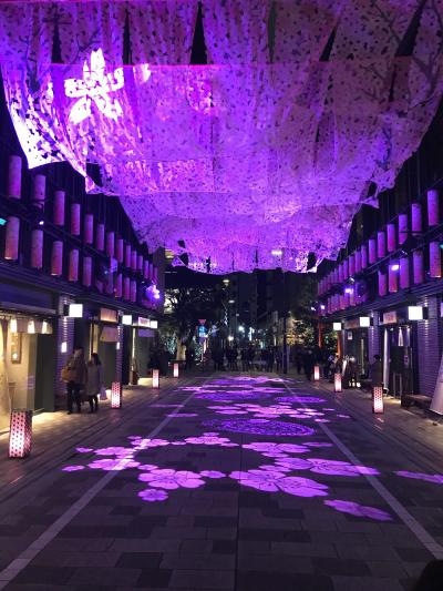 SAKURA WEEKS コレド室町で夜桜見物