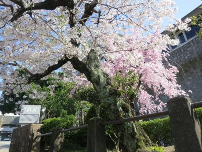 東山すそ野の老舗ホテル